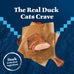 Blue Buffalo Wilderness Duck High-Protein Grain-Free Adult Dry Cat Food, 11-lb Bag