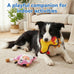 Giraffes & Cows Squeaky Dog Toys for Small and Medium Dogs Indoor Play, Durable, Interactive, Non-Shedding, Small Dog Toys