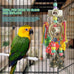 Parrot toys, bird hanging chew toys, for African Grays, Cockatoos, and Amazon parrots, small and medium-sized bird toys