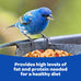 Kaytee shelled peanuts for cardinals, blue jays, and woodpeckers, 11 pounds, high-energy wild bird food