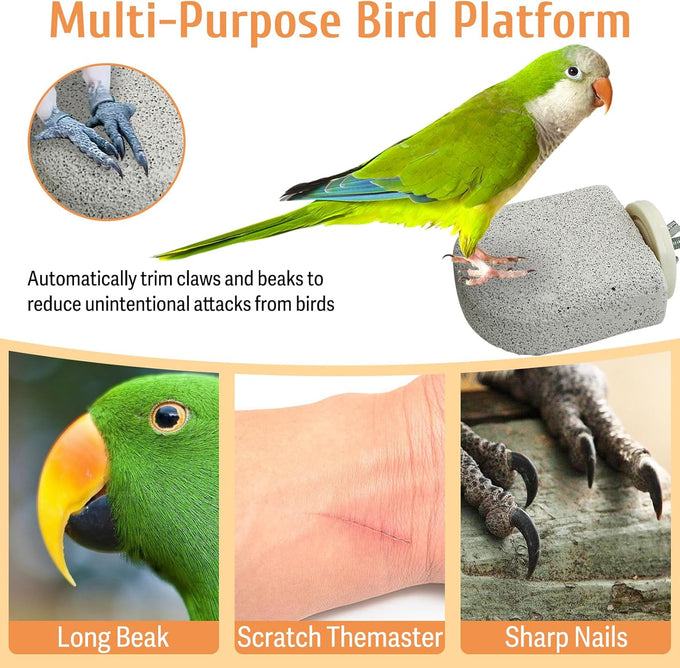 pinvnby 4-piece bird perch stands for small to medium parrots, cockatiels, lovebirds, conures, and finches