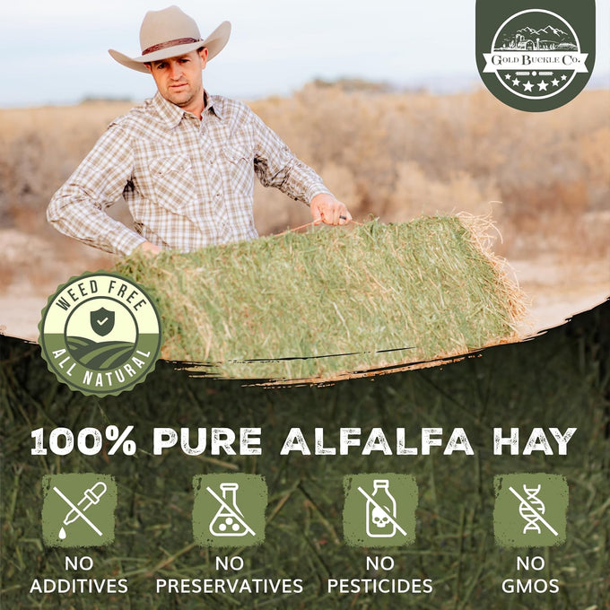 9lb Organic Alfalfa Hay for Small Animals Rich in Protein & Fiber - USA Grown, Hand-Selected, Fresh Dried