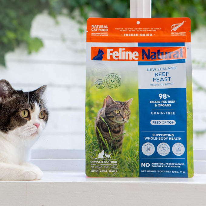 New Zealand made feline dry cat food with 98% high protein meat, organs, & seafood, grain-free, no artificial additives, beef, 11oz