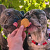 Farm To Pet Single Ingredient Chicken Dog Training Treats 4 oz Lean All Natural Healthy Made in USA