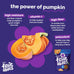 Fruitables Baked Dog Treats, Low Calorie, No Wheat, Corn or Soy, Made in the USA, Pumpkin and Apple Flavor, 12oz