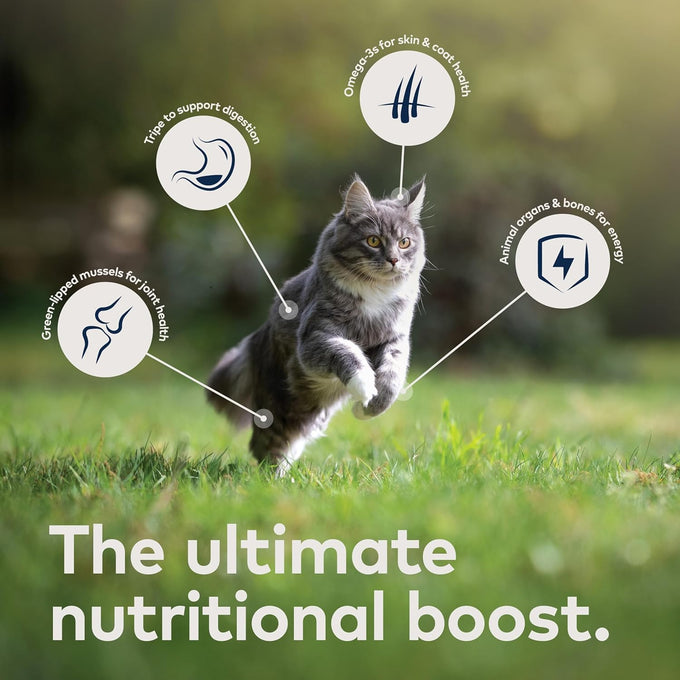 ZIWI Peak Wet Cat Food Variety Pack - 3oz Cans, Beef, Chicken, Lamb, Venison, Grain-Free, No Fillers