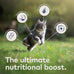 ZIWI Peak Wet Cat Food Variety Pack - 3oz Cans, Beef, Chicken, Lamb, Venison, Grain-Free, No Fillers
