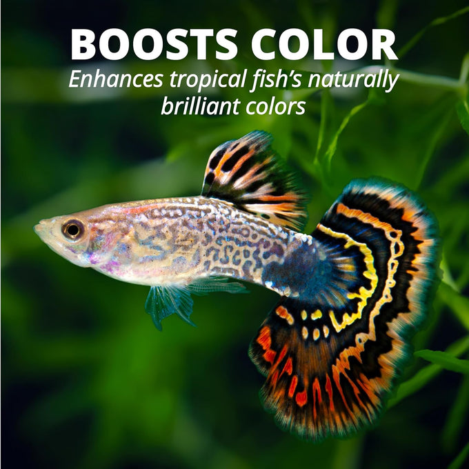 TetraPro Tropical Color Crisps fish food with natural color enhancers, 7.41 ounces