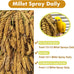 Jmxu's Natural Sun-Dried Spray Millet for Parakeets, Cockatiels, and Small Birds, 1 LB, 12.6 Inch Length