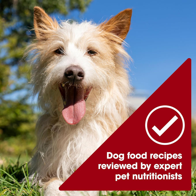 Nature's Recipe Grain-Free Chicken & Beef Wet Dog Food, 2.75 oz, 12 Count