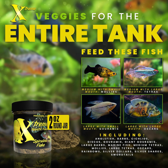Xtreme Spirulina Flakes for Tropical and Marine Herbivorous Fish, Enhanced Health and Vibrant Colors, USA Farm Grown, Cichlids, Barbs, Tetras, Guppies (2oz)