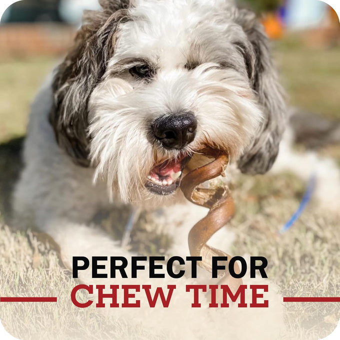 Redbarn Pet Products 5"-8" Braided Bully Sticks for Small & Large Dogs - Single Ingredient Low Odor Rawhide Free - 8 oz Bag