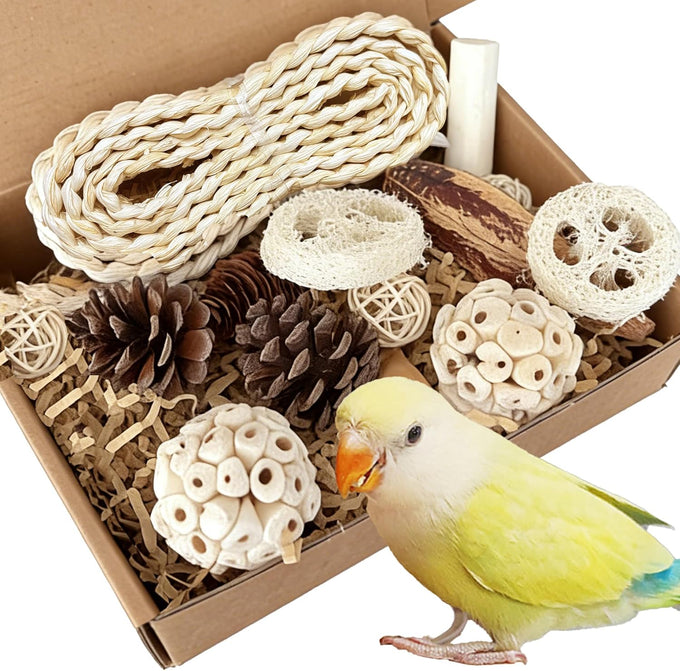 natural bird toys rattan foraging box parrot cockatiel lovebird parakeet budgie medium size non-toxic material