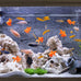 Sumind 30 Pieces Floating Artificial Orange Goldfish for Aquarium Tank Decorations and Ornaments
