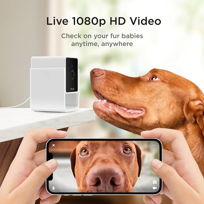 Petcube Cam | 1080p Wi-Fi Pet and Security Camera with 2-Way Audio, Night Vision, and Smart Alerts