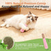 3 pack catnip toys for cats, funny cat toys with organic catnip, dental rope, and fun bell