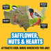 Cool Birds Safflower sunflower hearts peanuts 10 lb wild bird seed no corn milo millet outside feeders gourmet bird food