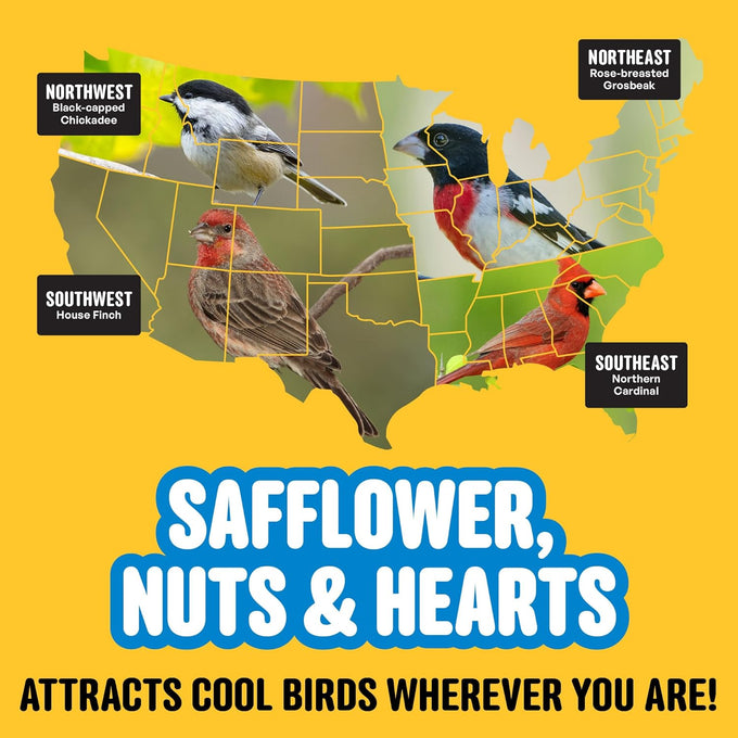 Cool Birds Safflower sunflower hearts peanuts 10 lb wild bird seed no corn milo millet outside feeders gourmet bird food