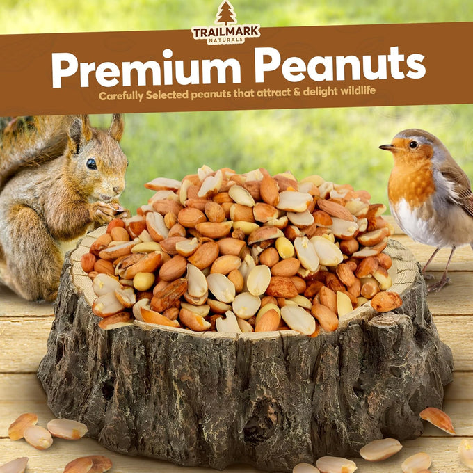 Raw shelled peanuts for squirrels and wildlife, unsalted and grown in the USA, 25 lb bulk