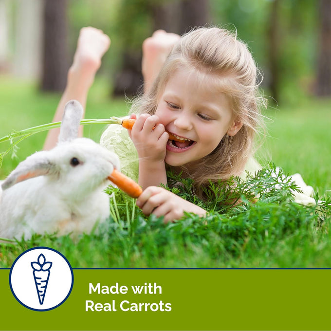 Vitakraft Slims Carrot Small Animal Treats, 10oz, Light, Healthy Food Bites for Rabbits, Guinea Pigs, Hamsters & Chinchillas