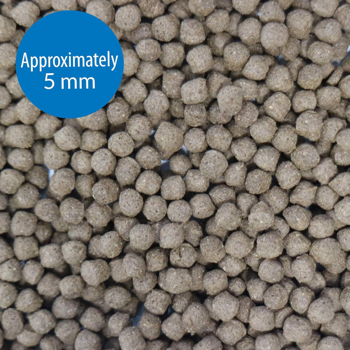 API CICHLID LARGE PELLETS 7.1-Ounce Floating Fish Food for Large Cichlids, Natural Ingredients, 5 Inch Plus