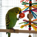 10-pack bird toys for conures, budgies, parakeets & small birds (1.5'' - 5.5'')
