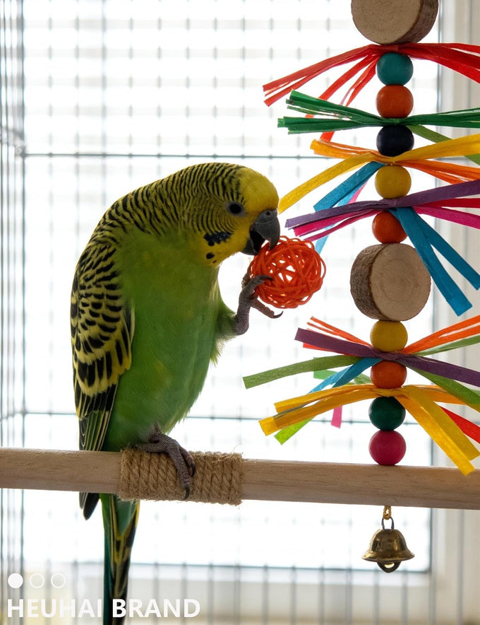 10-pack bird toys for conures, budgies, parakeets & small birds (1.5'' - 5.5'')