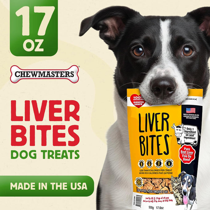 Chewmasters 100% pure beef liver bites freeze-dried dog treats made in usa grain free all natural
