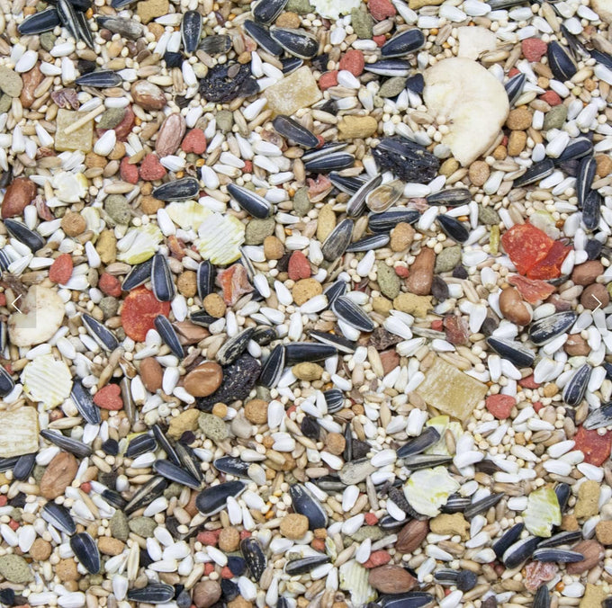 Higgins Vita Seed Natural Blend Conure Lovebird Food 2 Pack 10 Lbs