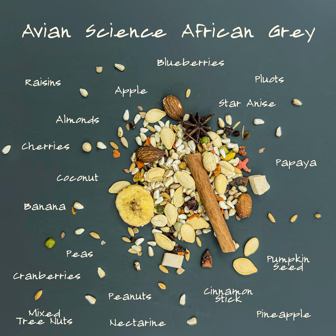 volkman avian science super african grey bird food 4lb for african grey parrots and amazons