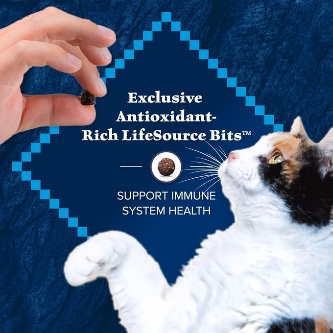 blue buffalo wilderness natural adult dry chicken cat food 12 lb bag high protein grain free diet