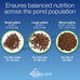 Aquascape Premium Staple Fish Food Pellets, Medium Pellet, 2.2 Pounds for Small to Medium Pond Fish