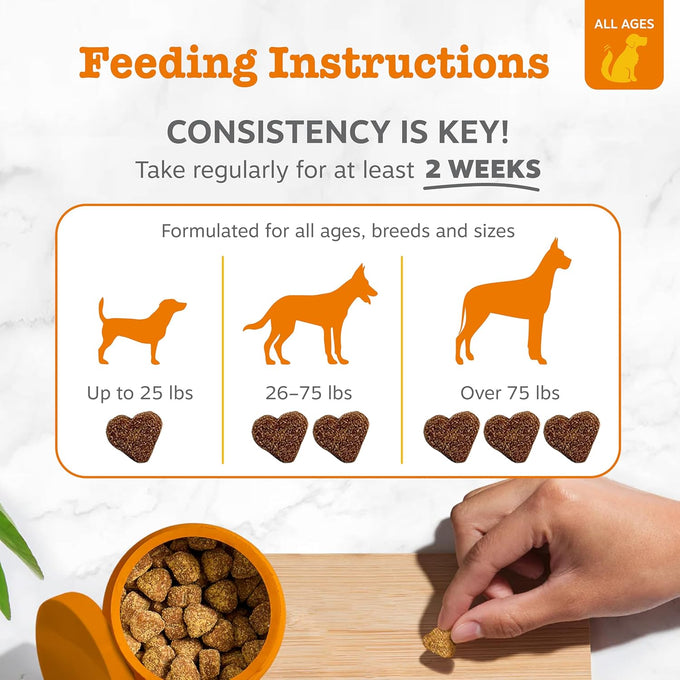 Zesty Paws Lamb Allergy Immune Bites, Dog Probiotics Chews for Itchy Skin and Ears, 90 Count