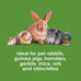 Kaytee timothy biscuits baked treats for pet guinea pigs, rabbits, and other small animals, 4 oz, apple flavor