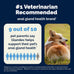 Vetnique Glandex Anal Gland Soft Chews with Pumpkin, Digestive Enzymes, Probiotics, Fiber Supplement for Dogs (Bacon Flavor, 60 Count)
