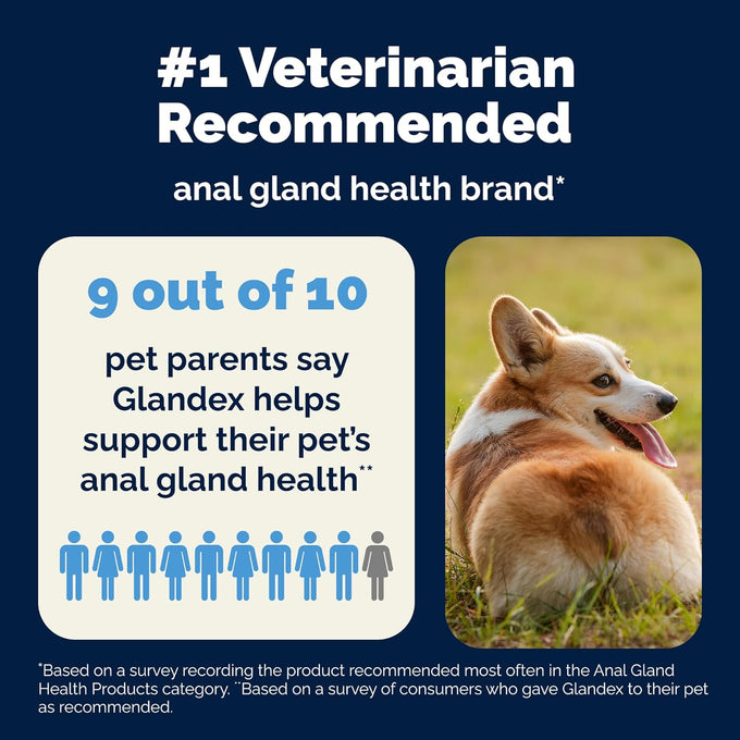 Vetnique Glandex Anal Gland Soft Chews with Pumpkin, Digestive Enzymes, Probiotics, Fiber Supplement for Dogs (Bacon Flavor, 60 Count)