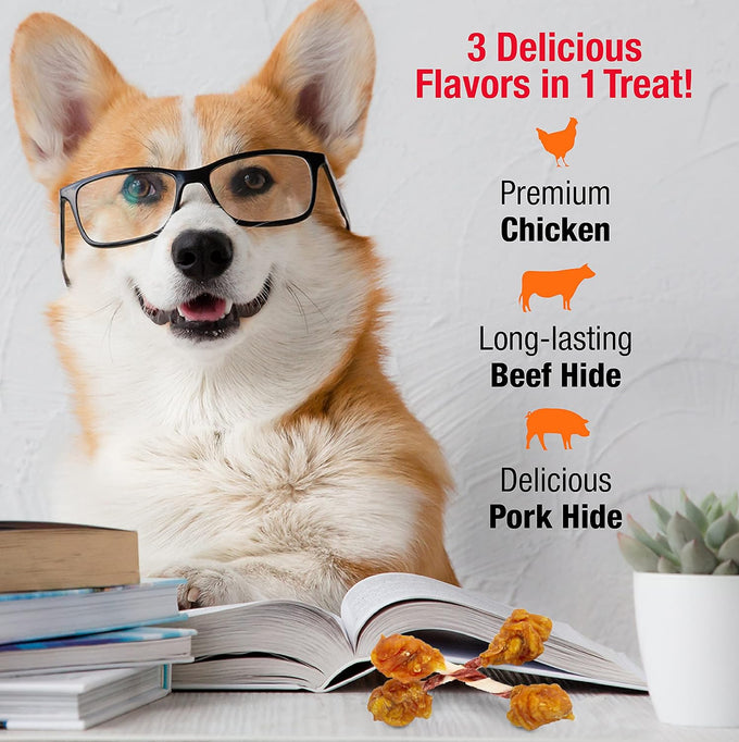 Good 'n' Fun, Triple Flavor Double Pops with Chicken Dog Snacks, Gourmet, Long-Lasting, 5.5 Ounces