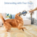 BuyPow Monkey Squeaky Dog Chew Toys, Interactive Tug of War Puppy Toys for Small, Medium, Large Dogs Soft and Durable