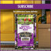 Pennington Pride songbird wild bird seed 10-lb bag advanced nutrition formula bird food