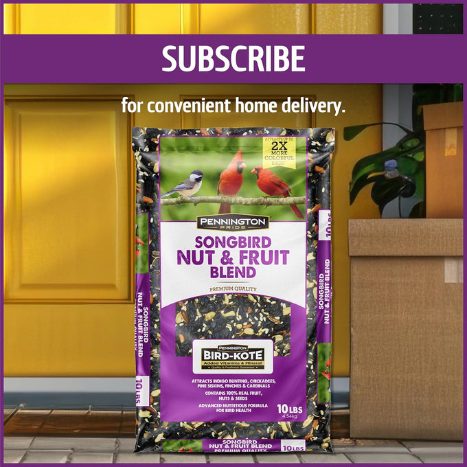 Pennington Pride songbird wild bird seed 10-lb bag advanced nutrition formula bird food