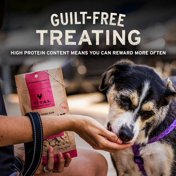 Vital Essentials rabbit freeze dried dog treats single protein grain free training