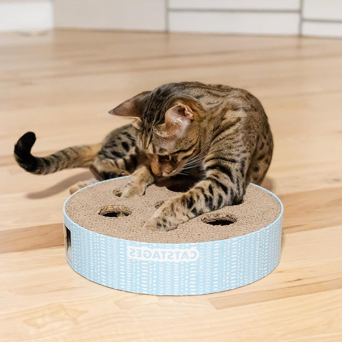 Catstages Scratch N' Hunt Interactive Cat Puzzle Toy for Indoor Cats with Claw Trimming Scratcher and 3 Hunting Balls