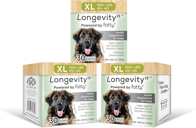 yummy comb longevity15 c15:0 fatty acid health supplement for medium dogs healthy pet supply