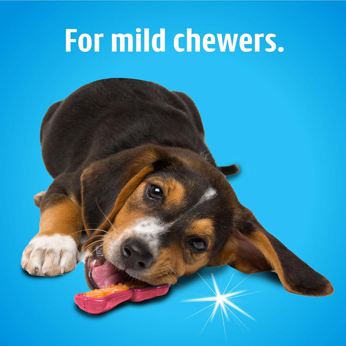 Hartz Chew n Clean Dental Duo Dog Treat Toy, Medium, 3 Pack, Color Varies, 3 Piece