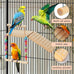 Wooden bird perches platform swing with climbing ladder for cockatiels, lovebirds, and small pets cage accessories