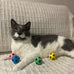 spot interactive colorful plush cat toys soccer balls 1.5 inch assorted 4 pack