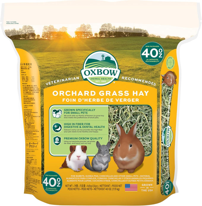 Oxbow orchard grass hay for small pets in 40 oz bag - all-natural long strand fiber hay for digestive health and enrichment