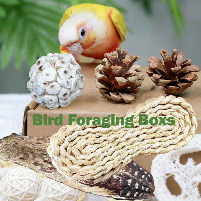 natural bird toys rattan foraging box parrot cockatiel lovebird parakeet budgie medium size non-toxic material