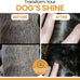 Salmon Oil Omega 3 Fish Oil for Dogs - 180 Soft Chews for Itch Relief, Shedding, Hot Spots, Skin & Coat