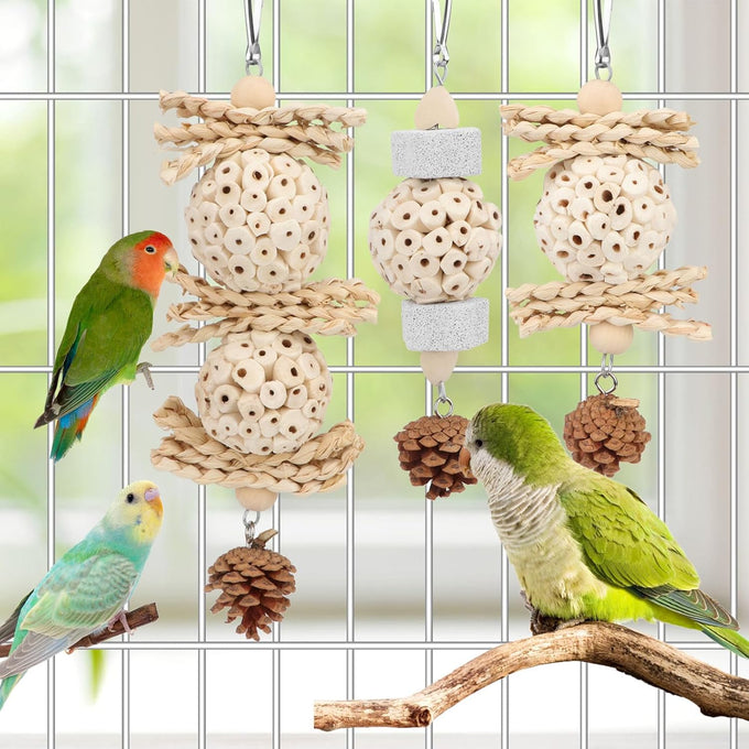 Wontee natural sola ball parrot foraging hanging toys, safe for cockatiels, conures, parakeets, budgies, senegal, 3 pack